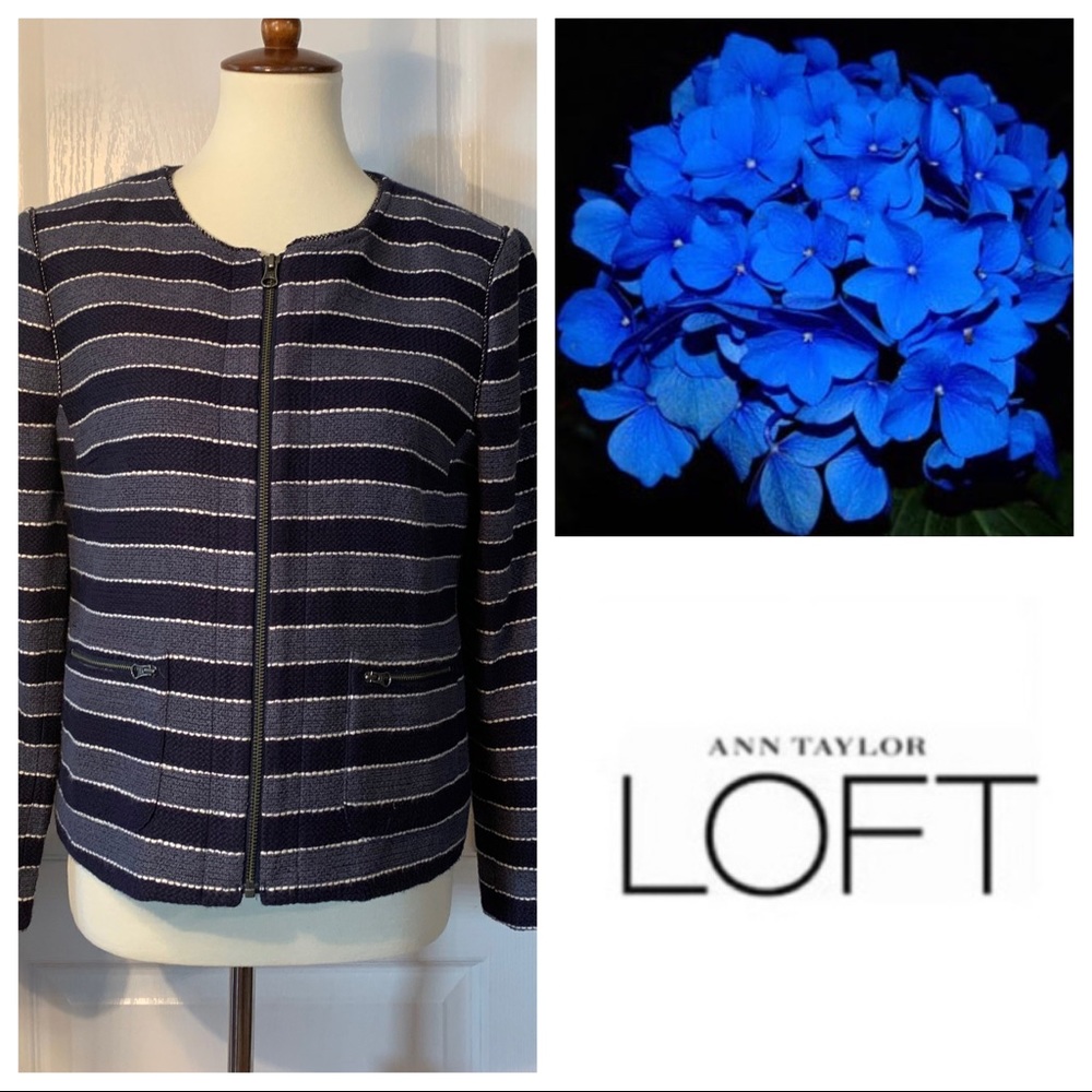 NWT Ann Taylor Loft Striped Two Tone Blue Jacket